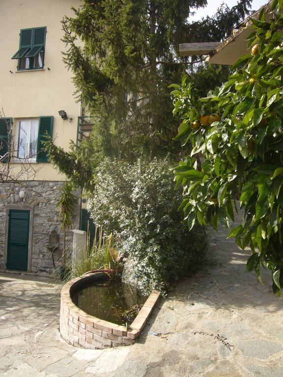 Agriturismo Olivarancio Leivi Extérieur photo