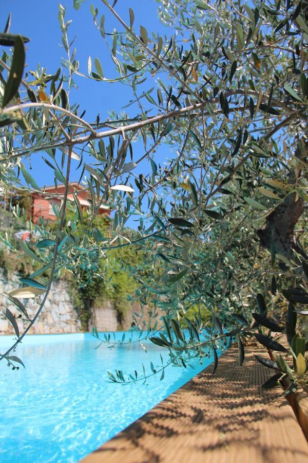 Agriturismo Olivarancio Leivi Extérieur photo